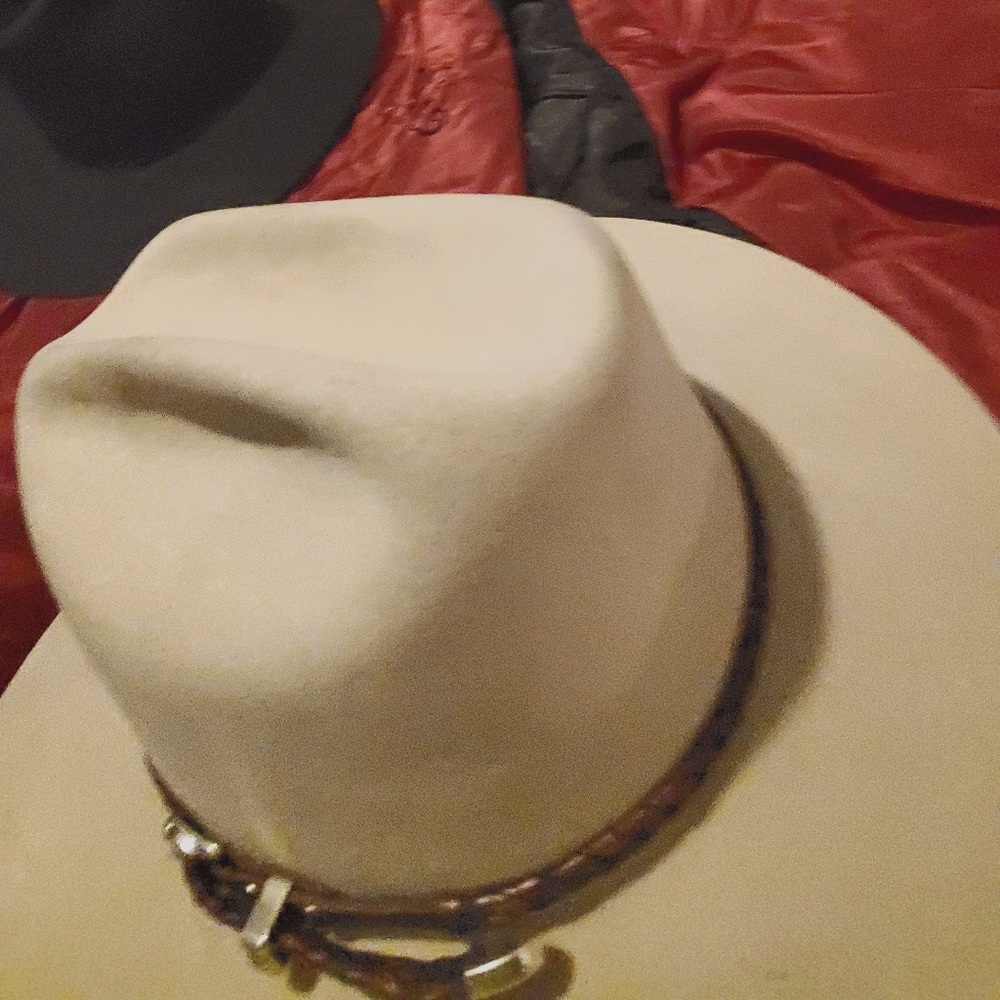 Stetson Carson Silverbelly